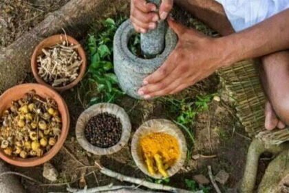 प्रदेश में 1174 आयुष संस्थाओं के माध्यम से नि:शुल्क इलाज, अब तक 22.48 लाख मरीजों का उपचार