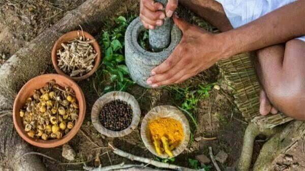 प्रदेश में 1174 आयुष संस्थाओं के माध्यम से नि:शुल्क इलाज, अब तक 22.48 लाख मरीजों का उपचार