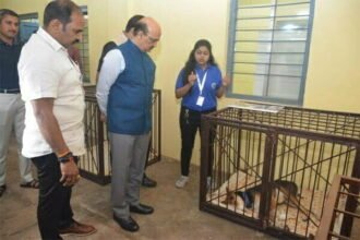 छत्तीसगढ एनिमल सेवियर मेडिकल होम का भव्य उदघाटन, बेजुबाँ के दर्द और मर्ज को मिलेगी राहत