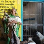 मनरेगा से बने शेड ने बकरी पालन व्यवसाय को दी मजबूती