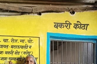 मनरेगा से बने शेड ने बकरी पालन व्यवसाय को दी मजबूती