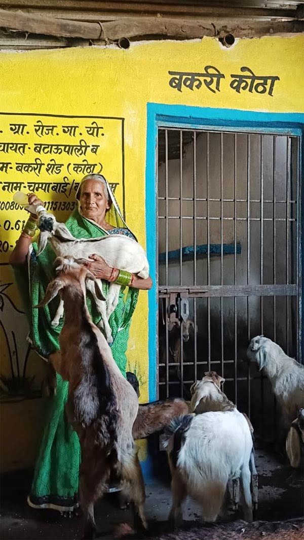 मनरेगा से बने शेड ने बकरी पालन व्यवसाय को दी मजबूती