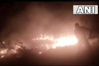 सरगुजा और धमतरी में आग, हजारों हेक्टेयर जंगल खाक, वनकर्मियों की हड़ताल से आफत