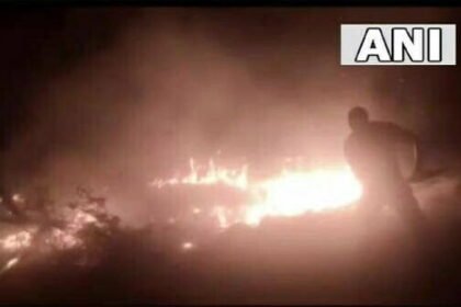 सरगुजा और धमतरी में आग, हजारों हेक्टेयर जंगल खाक, वनकर्मियों की हड़ताल से आफत