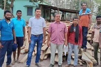 वन विभाग की बड़ी कार्रवाई: तीन फर्निचर मार्ट हुए सील, 10 लाख रूपए से अधिक मूल्य के सागौन ला तथा चिरान जप्त
