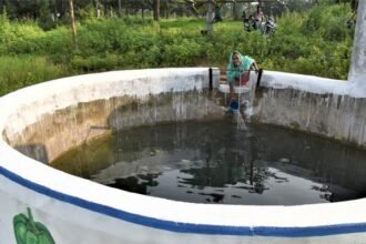 मनरेगा से बने कुएं ने दिखाई कर्ज मुक्ति की राह, कुएं ने धान की पैदावार तो बढ़ाई ही, आजीविका का नया जरिया भी दिया