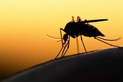 वेक्टरजनित रोगों की रोकथाम के लिए मुख्य सचिव ने जारी किया परिपत्र