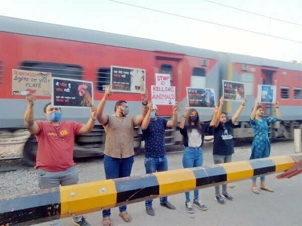 वीगन्स ऑफ छत्तीसगढ़ ने पशु क्रुरता पर किया जागरूकता कार्यक्रम