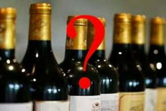 छत्तीसगढ़ में भी शराबबंदी की तैयारी! आबकारी मंत्री जाएंगे बिहार और गुजरात