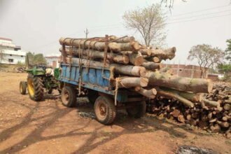 वन विभाग की छापामार कार्यवाही: लमकेनी गांव के आरामिल से अवैध लड़की जब्त