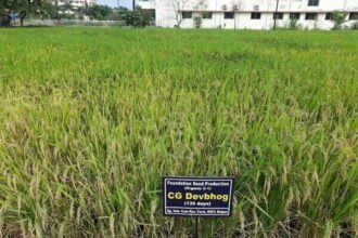 अयोध्या में रामलला को चढ़ेगा छत्तीसगढ़ का देवभोग