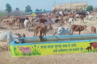 स्वावलंबी गौठान स्वयं की राशि से खरीदने लगे हैं गोबर