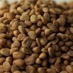 प्रदेश की बेशकीमती ड्राईफ्रुट फसल को भारी नुकसान, पेड़ों की अवैध कटाई से पड़ा असर, किसानों में मायूसी