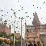 श्रीकृष्ण जन्मस्थान की जमीन पर खड़ी है शाही ईदगाह! अधिवक्ता रंजना अग्निहोत्री का दावा कोर्ट ने किया स्वीकार