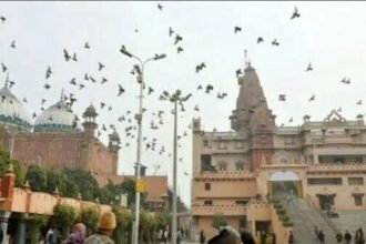 श्रीकृष्ण जन्मस्थान की जमीन पर खड़ी है शाही ईदगाह! अधिवक्ता रंजना अग्निहोत्री का दावा कोर्ट ने किया स्वीकार