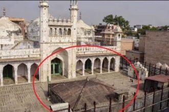 छत, दीवारें गिराने व नमाज पढऩे से मंदिर का स्वरूप नहीं बदलता, सुप्रीम कोर्ट में एक और याचिका दायर