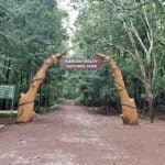 कांगेर नेशनल पार्क के सुदूर वनांचल स्थित गुड़ियापदर गांव के 120 आदिवासियों ने जंगल बचाने पेश की मिसाल…