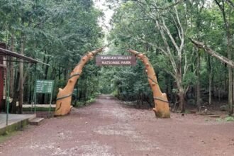 कांगेर नेशनल पार्क के सुदूर वनांचल स्थित गुड़ियापदर गांव के 120 आदिवासियों ने जंगल बचाने पेश की मिसाल…