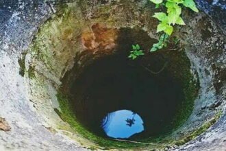 मां ने छह बच्चों को कुएं में फेंककर मार डाला, ससुराल के लोगों द्वारा मारपीट से गुस्से में थी