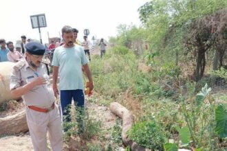 बड़ी खबर: जिले में लगातार तीसरे दिन हत्या से पुलिस के माथे पर शिकन, युवक की तेजधार हथियार से हत्या