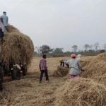 जिले में पहली बार रबी फसल लेने के बाद किसानों द्वारा किया गया पैरादान