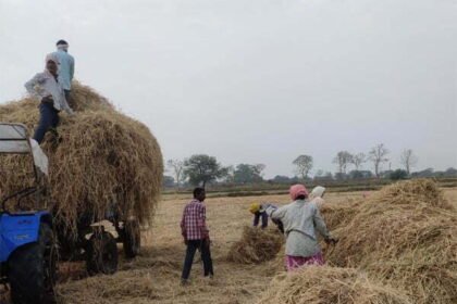जिले में पहली बार रबी फसल लेने के बाद किसानों द्वारा किया गया पैरादान