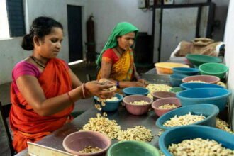 छत्तीसगढ़ को लघु वनोपज प्रोसेसिंग के क्षेत्र में अंतर्राष्ट्रीय स्तर पर एक और उपलब्धि… अंतर्राष्ट्रीय स्तर पर दिख रहा छत्तीसगढ़ मॉडल का प्रभाव