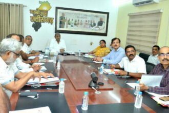 छत्तीसगढ़ में चालू वर्ष के दौरान 1.14 करोड़ से अधिक पौधों का होगा रोपण - वन मंत्री अकबर