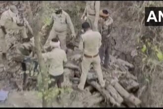 बाघ की मौत का मामला: भैंस का जहरीला मांस खाने से बाघ की मौत, चार आरोपी गिरफ्तार