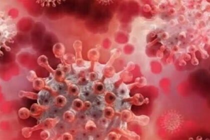 4 passengers from abroad are corona positive, 196 new cases in 24 hours, two died