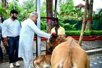 गोधन न्याय योजना में 144 करोड़ की गोबर खरीदी पर महिला समूह और किसानों ने मुख्यमंत्री को "गाय-बछड़ा" आशीर्वाद स्वरूप भेंट किया