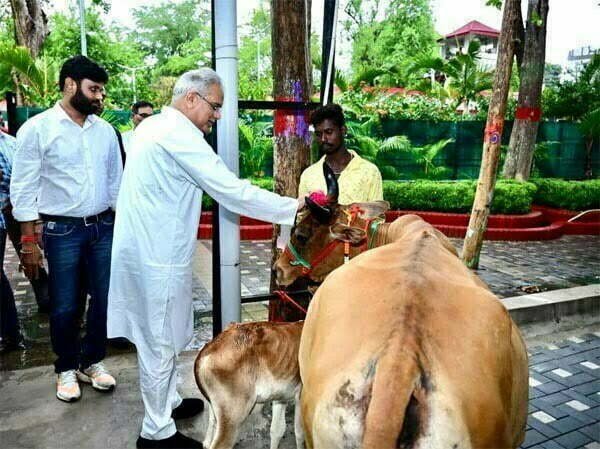 गोधन न्याय योजना में 144 करोड़ की गोबर खरीदी पर महिला समूह और किसानों ने मुख्यमंत्री को "गाय-बछड़ा" आशीर्वाद स्वरूप भेंट किया