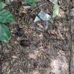 अयोध्या में झाडिय़ों के बीच मिले 18 हैंड ग्रेनेड, फलों की तरह थे बिखरे, सवाल- साजिश या लापरवाही?