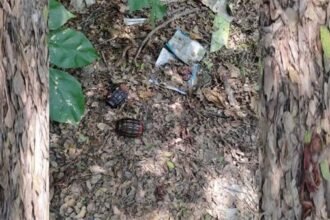 अयोध्या में झाडिय़ों के बीच मिले 18 हैंड ग्रेनेड, फलों की तरह थे बिखरे, सवाल- साजिश या लापरवाही?