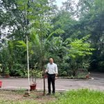 दो साल पहले वन होम वन ट्री महाअभियान में घरों में रोपे थे पौधे, अब बन रहे वृक्ष