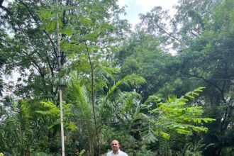 दो साल पहले वन होम वन ट्री महाअभियान में घरों में रोपे थे पौधे, अब बन रहे वृक्ष