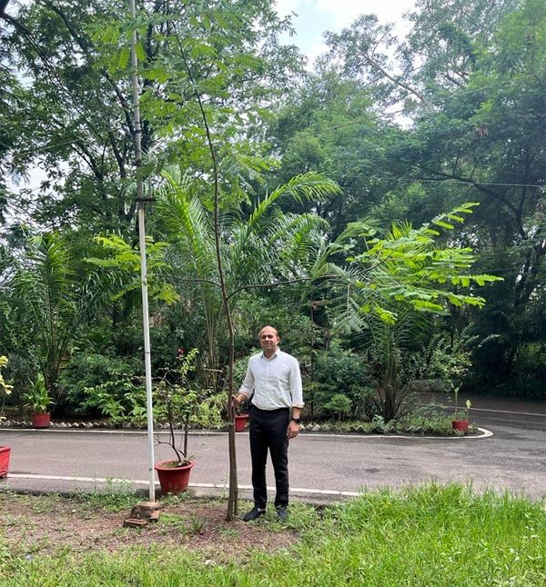 दो साल पहले वन होम वन ट्री महाअभियान में घरों में रोपे थे पौधे, अब बन रहे वृक्ष
