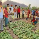 लगभग 12 लाख संग्राहकों द्वारा अब तक 634 करोड़ रूपए से अधिक राशि के तेन्दूपत्ता का हो चुका संग्रहण