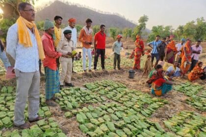 लगभग 12 लाख संग्राहकों द्वारा अब तक 634 करोड़ रूपए से अधिक राशि के तेन्दूपत्ता का हो चुका संग्रहण