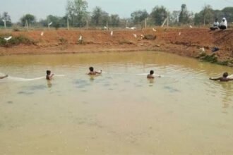 मछुआरों को बड़ी सौगात: अब मिलेगा उत्पादकता का बोनस, नई मछली पालन नीति को केबिनेट में दी मंजूरी