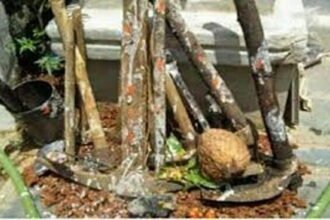 हरेली विशेष: हरी चुनरिया ओढ़ धरती ने कर लिया श्रृंगार, आओ मनाएं खुशियां कि आया हरियाली त्यौहार