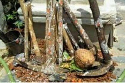 हरेली विशेष: हरी चुनरिया ओढ़ धरती ने कर लिया श्रृंगार, आओ मनाएं खुशियां कि आया हरियाली त्यौहार