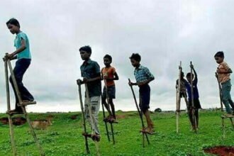 विशेष लेख: प्रकृति के प्रति प्रेम और समर्पण का लोकपर्व: हरेली