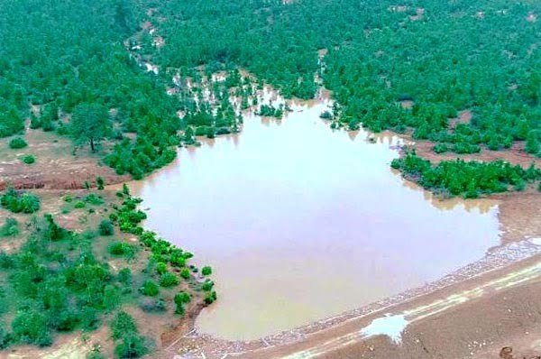 कैम्पा: वन क्षेत्रों में तीन वर्षों के दौरान 568 डबरी तथा तालाबों का निर्माण पूर्ण