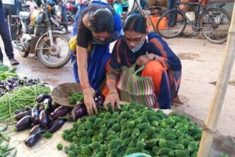 आ गे तीजा तिहार…: मायके पहुंची बेटियां, करूभात खाकर रखेंगी उपवास