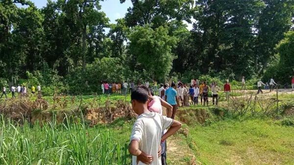 खेत में गए युवक को बाघ ने उतारा मौत के घाट, अधखाया शव मिला, इलाके मेंं दहशत का माहौल