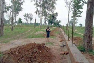 121 नगरीय निकायों में 'कृष्ण कुंज' के लिए हुआ स्थल का चयन