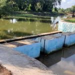 नरवा योजना नहीं होती तो छांटा में इस बार मुश्किल हो जाती