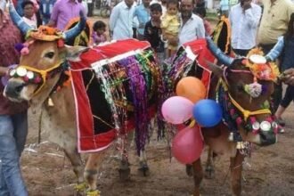 तीजा-पोरा विशेष: छत्तीसगढ़ में कृषि संस्कृति का पर्व 'पोरा', जानिए क्या है इसके पीछे की कहानी और रीति रिवाज