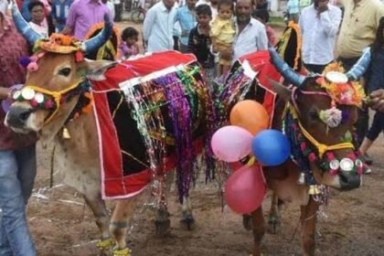 तीजा-पोरा विशेष: छत्तीसगढ़ में कृषि संस्कृति का पर्व 'पोरा', जानिए क्या है इसके पीछे की कहानी और रीति रिवाज